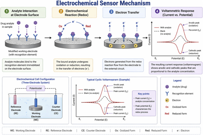 Infographic illustrating the electrochemical sensor mechanism with four steps: analyte binds to a recognition element on an electrode, undergoes redox reaction, transfers electrons to the electrode, and produces a voltammetric response showing current peaks proportional to analyte concentration. Includes diagrams of three-electrode cell configuration, a typical cyclic voltammogram plotting current versus potential with peaks labeled, and a color-coded legend defining each symbol and process.