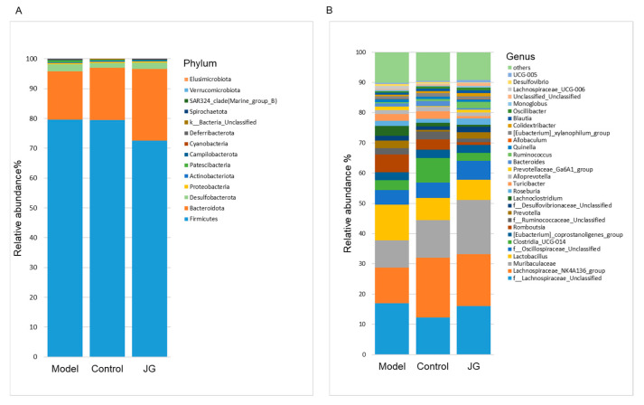 Gut microbiota compositions at the phylum (A) and genus (B) levels for the three experimental groups.