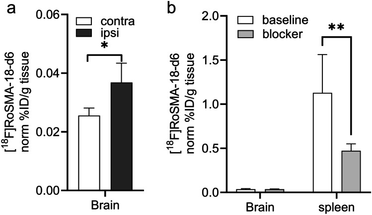 Ex vivo biodistribution of [18F]RoSMA-18-d6 in the brain and spleen of tMCAO mouse. Animals (n = 4) were sacrificed at 70 min post-injection, and the spleen and brain regions were dissected and analyzed with a gamma counter. a Higher [18F]RoSMA-18-d6 binding (norm % ID/g tissue) was detected in the ipsilateral vs contralateral hemisphere under baseline conditions. b In the spleen about 58 % of the [18F]RoSMA-18-d6 binding (norm % ID/g tissue) was blocked. No significant blocking was observed in the brain. Data are presented as the mean of the percentage of injected dose per gram tissue normalized to 20 g body weight; mean ± standard deviation. % ID/g: percentage injected dose per gram. *p < 0.05, **p < 0.01.