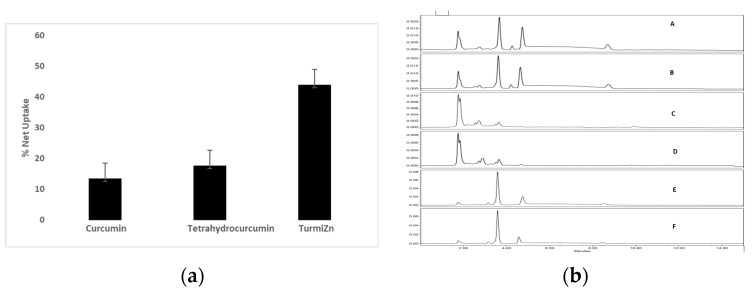 (a) Net uptake of curcumin, THC, and TurmiZn across IPEC-J2 cells. subfigure (a) shows the percent net uptake of curcuminoids at 425 nm, the percent net uptake of THC at 220 nm, and the percent net uptake of the TurmiZn complex measured at both 220 nm and 425 nm and averaged together, using six replicates per group. (b) Transwell HPLC chromatograms at 280 nm. subfigure (b) indicates that THC, curcuminoids, and the TurmiZn complex have the same basic respective HPLC profiles between the upper and bottom wells. A: TurmiZn top well; B: TurmiZn bottom well; C: curcumin top well; D: curcumin bottom well; E: THC top well; F: THC bottom well. Values are mean ± standard error of mean.