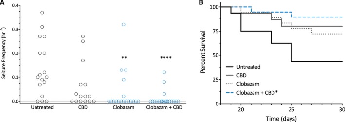 Cannabidiol (CBD) and clobazam combination therapy improved survival of Scn1a +/− mice. A, Spontaneous generalized tonic‐clonic seizure (GTCS) frequency of individual untreated and drug‐treated mice. Treatment began after the induction of a single hyperthermia‐induced seizure and spontaneous GTCS were subsequently quantified over a 60‐h recording period. Clobazam in both the absence and presence of CBD significantly reduced the proportion of mice experiencing GTCS (blue, open symbols), with n = 15‐19 per group (**P < 0.005, ****P < 0.0001; Fisher's exact test). B, Survival curves comparing untreated and drug‐treated mice. Clobazam in the presence of CBD significantly improved survival (blue line), with n = 15‐19 per group (**P < 0.005; log‐rank Mantel‐Cox)