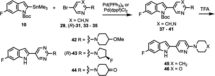Synthesis of Compounds 42–46