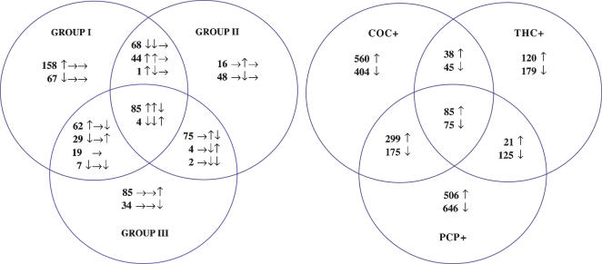 Venn Diagrams illustrating the distribution of significantly altered transcripts in groups defined by global expression profiles (A) or by drugs of abuse (B). A. Eighty-nine transcripts were regulated in all three groups defined by global expression profiles. All of these were regulated in the same direction (increased or decreased) for Group I (DA1–18) and Group II (DA19–34), and in the opposite direction for Group III (DA35–42) cases. In all, 201/202 transcripts shared between Group I and Group II were regulated in the same direction. For Group III, 91/115 transcripts shared with Group I and 79/81 transcripts shared with Group II were regulated in the opposite direction. These data highlight the similarities of Group I and Group II, and the marked differences in Group III cases. Each cluster of three arrows indicates the direction of change in Groups I, II and III, respectively. Increased expression is indicated by ↑, a decrease by ↓, while → indicates no significant change. B. Cases with a drug abuse history and positive cocaine, phencyclidine or cannabinoid toxicology in blood, brain or urine were grouped into COC+, PCP+ and THC+ groups, respectively. While there were significant transcriptional differences between these groups, a total of 160 transcripts (≈2% of all transcripts) were shared for the three groups. Note that a much smaller number of transcripts were identified for the THC+ group (264 increased, 424 decreased) than for the COC+ (982 increased, 699 decreased) and PCP+ (911 increased, 1021 decreased) groups. Increased expression is indicated by ↑, decreased expression by ↓.