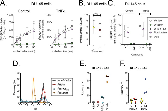 Metabolism of 100 nM AEA by DU145 cells.Panels A show the time courses for the hydrolysis of 100 nM [Et-3H]AEA. Note that the values are per well, and not normalised to the protein content (shown in Panel B). In Panel C, rates of hydrolysis were determined for each experiment from the individual slopes (going through the origin) of the first two time points divided by the protein content. Data are means and 95% confidence intervals, N = 9. For the vehicle and flurbiprofen treated cells, the bootstrapped linear main effects model gave P values of TNFα, 0.19; flurbiprofen, 0.62. The interaction model gave a P value for TNFα x flurbiprofen of 0.80. However, a small effect of flurbiprofen can be masked by the large inter-experimental variation. Expressing the effect of flurbiprofen as % of the corresponding control value gave values of: untreated cells, 90 (81–99.5); TNFα- treated cells 87 (77–96) (means and 95% confidence limits, N = 9). Panels D-E: TLC separation of [Ara-3H]AEA, [3H]arachidonic acid (AA), [3H]PGF2α and [3H]bimtoprost (Bimat) using ethyl acetate: methanol (90:10 v/v) as solvent system. Panel D shows the complete sampling from a single experiment, and Panel E shows the total recovery for three separate experiments over the Rf range shown. In Panel F, cells were incubated with 100 nM [3H]AEA, labelled in the arachidonoyl part of the molecule for 30 min prior to workup and separation by TLC. Shown are means of individual experiments conducted in triplicate for vehicle (V) and TNFα (T)-treated DU145 cells, and for vehicle and LPS + IFNγ-treated (L/I) RAW264.7 cells.