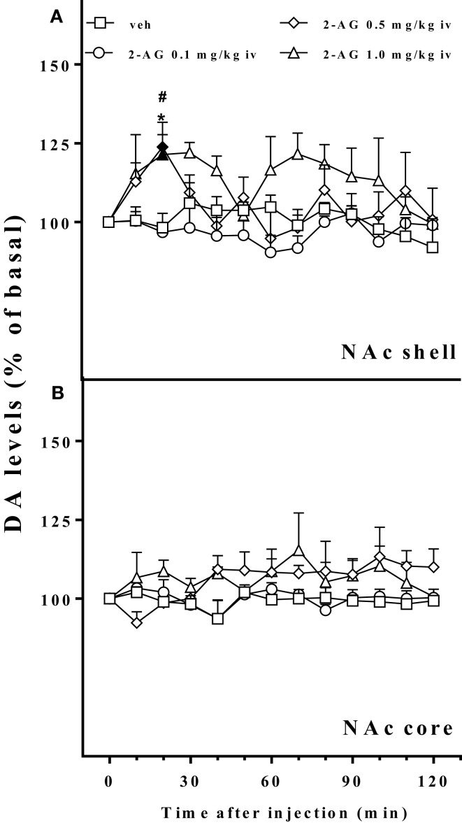 Effect of 2-AG injection on nucleus accumbens dialysate dopamine. Effect of 2-AG (0.1, 0.5, and 1 mg/kg iv) on NAc shell (A) and core (B) dialysate DA. Data are expressed as means (±SEM) of change in DA extracellular levels expressed as a percentage of basal values. Solid symbols: p < 0.05 with respect to basal values; *p < 0.05 vs veh group; #p < 0.05 vs 0.1 group.