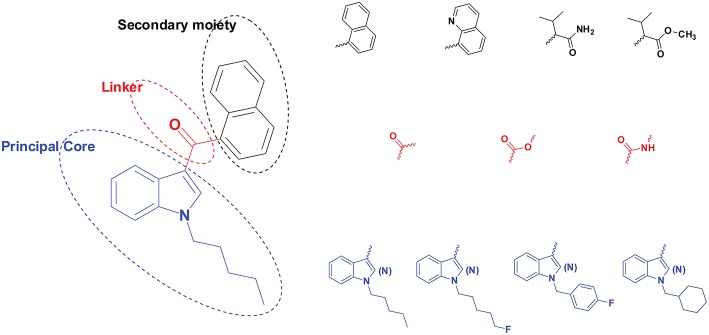 Structural scheme of synthetic cannabinoids (SCs) with different principal cores (blue), linkers (red), and secondary moieties (black). A few examples are provided for each moiety's diverse substructures.