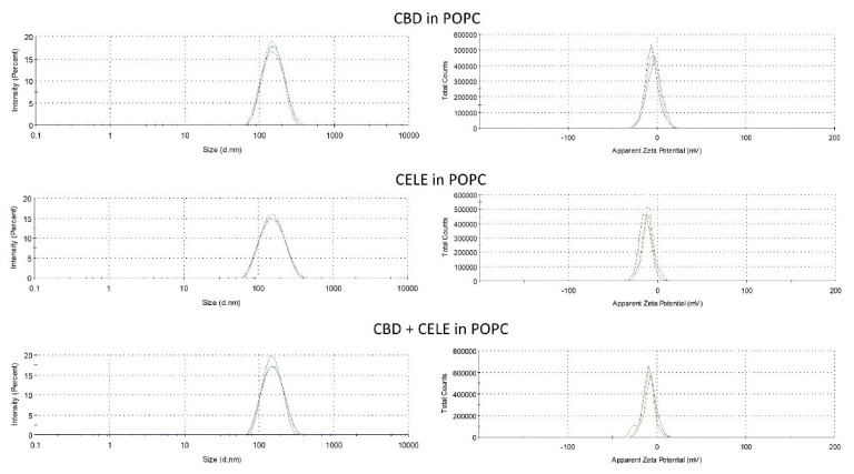 The size and zeta potential of the POPC liposomes (CBD-, CELE-, and CBD + CELE-loaded) were measured by dynamic light scattering (DLS).
