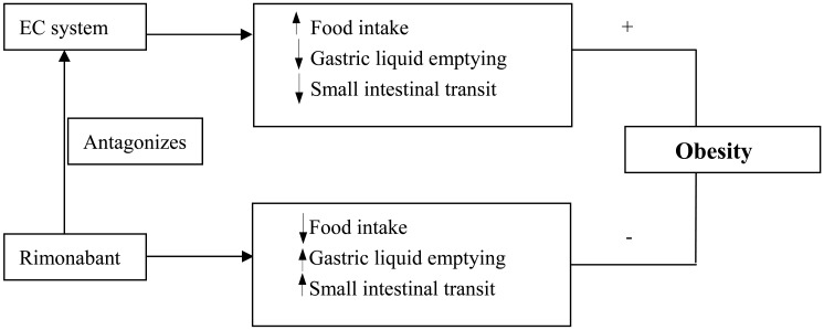 Relationship among EC system, Rimonabant, GI motility and Obesity.