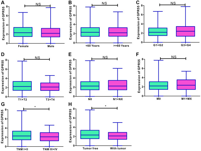 (A–F) Correlation analysis of GPR55 with age, sex, histological grade, TNM stage and tumor status. (G, H) The dot plots of GPR55 expression in HCC individuals with TNM I/II stage, and in tumor free individuals. (*P < 0.05).