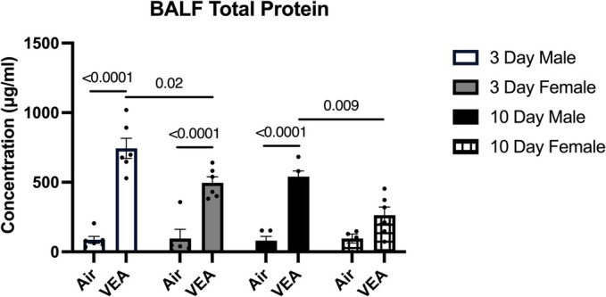 Total protein concentration (μg/mL) in the BALF supernatant is indicated as mean ± standard error (SE), stratified by exposure condition (VEA or Air), exposure length, and sex. Overall, all VEA‐exposed groups displayed significantly higher levels of protein in comparison to their respective controls. Yet, the 3‐day VEA‐exposed males presented with the greatest protein levels when compared to all VEA‐exposed females. N = 6/treatment group. BALF, bronchoalveolar lavage fluid; VEA, vitamin E acetate.