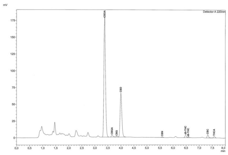 Chromatographic trace of Cannabis sativa L. inflorescence extract analyzed by RP-HPLC-UV equipped with a reverse phase C18 column.