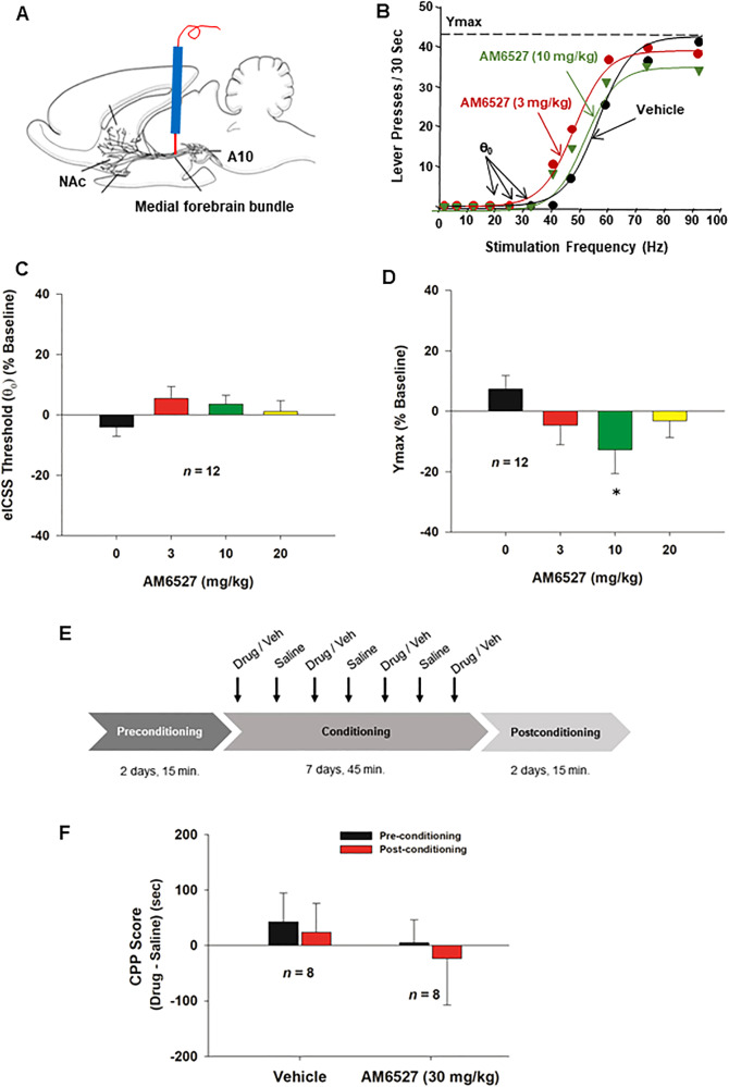The effects of AM6527 on electrical intracranial self-stimulation (eICSS) in rats and conditioned place preference in mice.A A diagram showing the experimental methods for the eICSS m. B A diagram of stimulation-response curves showing the effects of AM6527 on eICSS. C Systemic administration of AM6527 did not alter the eICSS threshold (θ0) at any dose tested. D AM6527 significantly decreased the maximal operant responses (Ymax). E The timeline of the CPP experiment, where “Drug/Veh” represents AM6527 (30 mg/kg, i.p.) for one group (n = 8) and 5% cremophor for the other group (n = 9). F AM6527 did not produce CPP or CPA. *p < 0.05, compared to the vehicle control group.
