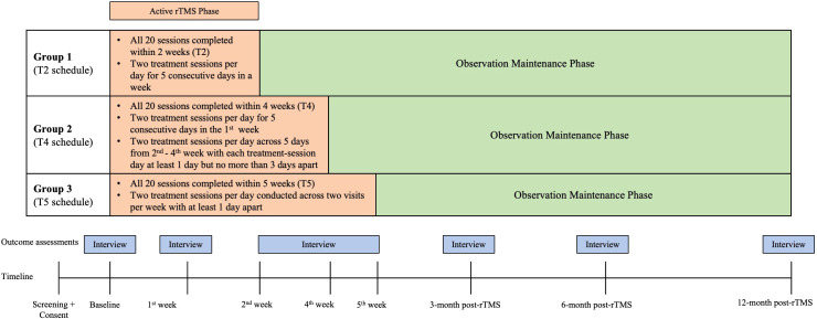 Study design diagram with three groups receiving different rTMS schedules: Group 1 completes treatment in two weeks, Group 2 in four weeks, and Group 3 in five weeks, followed by an observation maintenance phase. Timeline below indicates outcome assessments through interviews at baseline, first, second, fourth, and fifth weeks, along with interviews at three, six, and twelve months post-treatment.