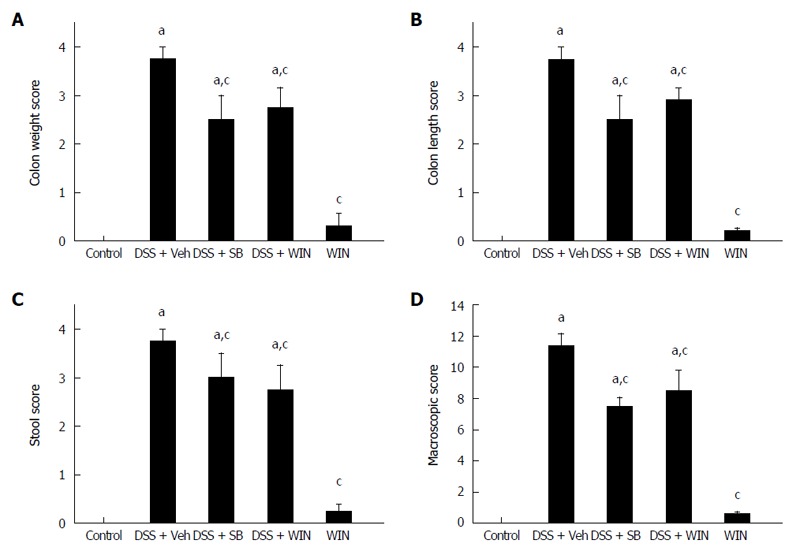 Macroscopical score of dextran sulfate sodium-induced colitis in C57BL/6 mice (A-D). Macroscopical score (MS) of was calculated as described in the Materials and Methods. SB203580 (5 μmol/kg) was injected i.p. twice daily beginning from 60 h after dextran sulfate sodium (DSS) treatment inception and continuing until the last day. WIN55 (5 mg/kg) was administered i.p., once daily for 7 consecutive days, starting from DSS treatment until the end of the experiment. Data of macroscopical parameters are presented as mean ± SEM (n = 8). aP < 0.05 vs control; cP < 0.05 vs DSS + vehicle (Veh). SB: SB203580; WIN: WIN55.