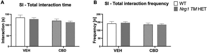 (A,B) Social interaction (SI) after adolescent CBD treatment: Total interaction time [s] and frequency [n] expressed as mean ± SEM for either wild type-like (WT) or neuregulin 1 transmembrane domain heterozygous (Nrg1 TM HET) mice treated during adolescence with either vehicle (VEH) or cannabidiol (CBD); (A) total social interaction time [s]; (B) total social interaction frequency [n].
