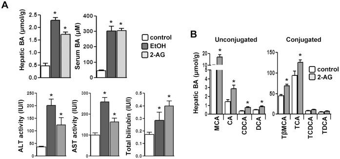 Alcohol and endocannabinoid induces hepatotoxicity and increased bile acid synthesis.(A–B) Mice (n = 4) were treated with EtOH or 2-AG-ether. Liver tissues and serum were obtained for total bile acid measurement, serum ALT, AST and bilirubin levels (A) and hepatic bile composition analysis (B). *p<0.01 vs. control group. Data represented as mean ± SE.