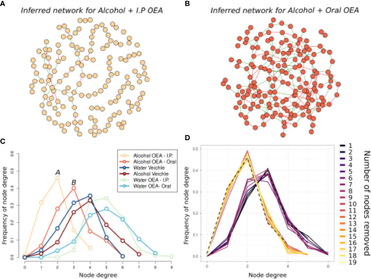 Microbiota association network on the alcohol-intoxicated samples, comparing the oral and i.p. administration routes of OEA. Graphic representation of inferred networks for the i.p. OEA (A) and oral OEA (B)-receiving rat groups, as indicated by the color of nodes and title. The graphical representation of the association network is composed of nodes (i.e., circles) connected by edges (i.e., the segments between nodes). Each node represents an ASV of the community, while each edge represents the presence of a significant association between two ASVs; there is a positive association when edges are green, while there is a negative association when edges are red. (C) Frequency distribution of the node degree statistic of all the inferred networks. In this representation, we report the frequencies (i.e., % of total) of nodes in the network for each value of node degree (i.e., a statistic representing the number of nodes connected to each node). Each network is represented as a different line, color coded as reported in the legend. (D) Frequency distribution of the node degree statistic in the oral OEA network, during the “attack” on node betweenness. This is graphically represented as in (C), but in this case, a single line for each iteration of the test is represented, and they all represent the oral OEA network from which a node is removed every iteration. Dotted lines represent i) the starting frequency distribution of the “undisturbed” oral OEA network (on the right) and ii) the frequency distribution of the i.p. OEA network. Each line represents the frequency distribution of node degree of a different network, reobtained after removal of one node (and recalculation) of the previous network. After the removal of 11 nodes, the frequency distribution of node degree in the oral OEA community resembles well the frequency distribution of the node degree in the i.p. OEA community. Alcohol + oral OEA group, n = 7; alcohol + i.p. OEA group, n = 7.