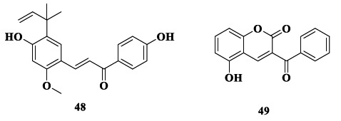 Chemical structures of licochalcone A (48) and LM-031 (49) with remarkable neuroprotective and antioxidant properties in a multi-target mode of action.