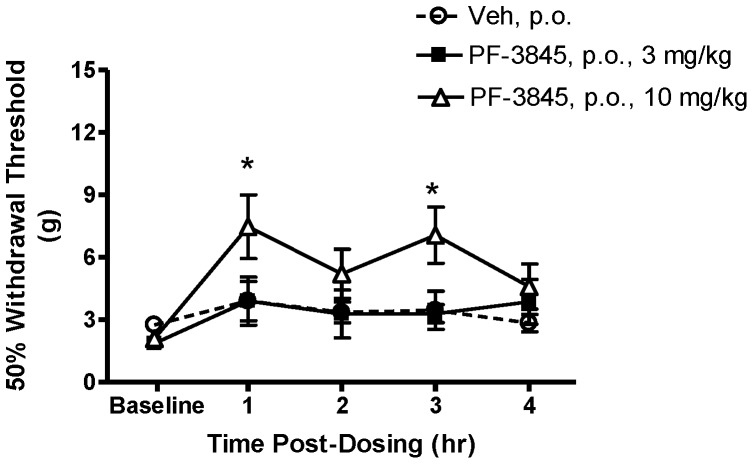 Effect of PF-3845 treatment on below-level cutaneous hypersensitivity in rats with neuropathic SCI pain.Following baseline hind paw withdrawal threshold measurement, SCI rats were treated with either PF-3845 (3, 10 mg/kg, p.o.) or vehicle (Veh; 5 ml/kg, p.o.). An antinociceptive effect was observed 1 and 3 hours following administration of 10 mg/kg, but not 3 mg/kg. Data presented as mean ± S.E.M. n = 8–9/group. * p<0.05 vs. vehicle (Two-way repeated measures ANOVA, Student-Newman-Keuls test).