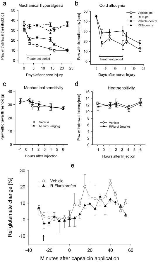 Time course of the nociceptive behavior in nerve-injured and naïve rats treated with R-flurbiprofen or vehicle (n = 6 per group) and glutamate release in the dorsal horn of the spinal cord. a In SNI, the daily drug treatment started the day after nerve injury. Mechanical hyperalgesia was assessed by recording the paw withdrawal threshold to stimulation with a Dynamic Plantar Aesthesiometer, b cold allodynia as paw withdrawal latency after exposure to a 10°C cold plate. Comparison of the areas under the effect x time curves revealed statistically significant differences between R-flurbiprofen and vehicle treatment (P<0.05). c In naïve rats mechanical sensitivity was assessed with a Dynamic Plantar Aesthesiometer, and d heat sensitivity as withdrawal latency to noxious heat stimulation in the Hargreaves test. R-flurbiprofen was injected at time zero, it had no effect. e Time course of glutamate release in the dorsal horn of the lumbar spinal cord in rats treated with 9 mg/kg R-flurbiprofen i.p. or vehicle 30 min before application of capsaicin cream (0.1%) onto the exposed sciatic nerve (time “zero”). Glutamate was analyzed in microdialysates from the dorsal horn in a colorimetric enzyme assay. The peak glutamate release after capsaicin application differed significantly between the treatment groups (n = 6; P<0.05).