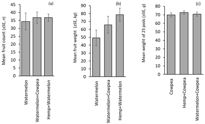 Crop yield: (a) watermelon fruit count, (b) watermelon fruit weight, and (c) cowpea dry pod weight in monocrop and intercrop. The absence of letters above the bars indicates that no statistically significant differences were found among the treatments (p > 0.05).