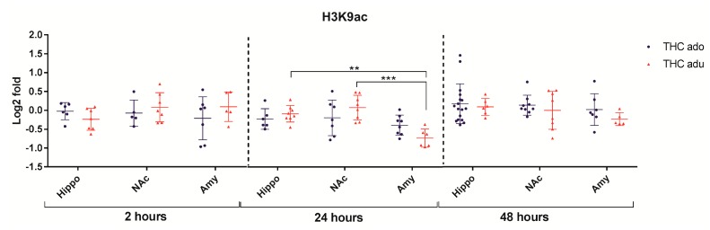 Comparison of Δ9-THC effect on H3K9ac in adolescent (THC ado) and adult (THC adu) animals in the different brain areas. Data are reported as log2 fold. Mean ± SD are shown. ** p < 0.01, *** p < 0.001 (Tukey post-hoc test).