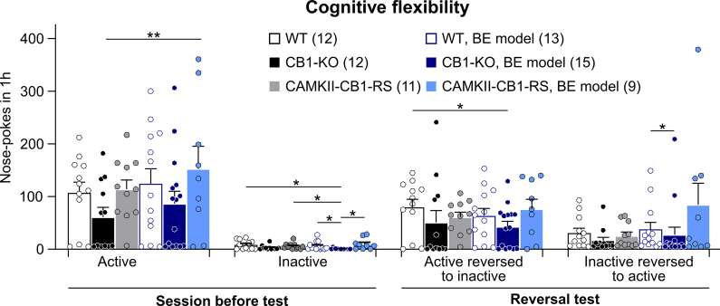 Supplementary Fig. 4. Cognitive flexibility in CaMKII-CB1-RS mice measured by the reversal test. Number of active and inactive nose-pokes in the preceding session and the reversal test. Mean ± SEM. U Mann–Whitney, ∗P < 0.05; ∗∗P < 0.01.