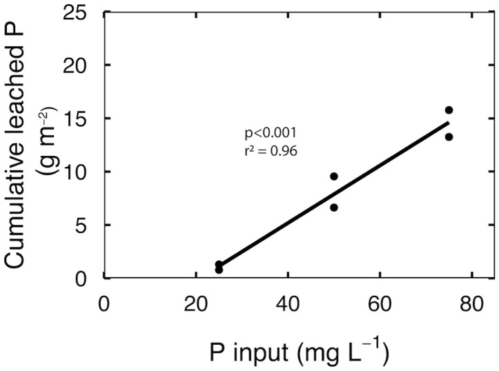 Cumulative leached P over eight weeks of reproductive growth at input P of 25, 50 and 75 mg per L. Each point represents the total leached P of a leachate collection tray that contained three separate containers.