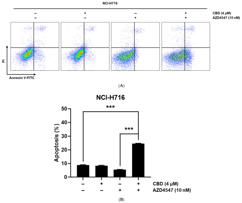 Apoptosis analysis of NCI-H716 cells following treatment with CBD and AZD4547. (A) Flow cytometry analysis of apoptotic cell death in NCI-H716 cells following treatment with CBD and AZD4547. Apoptotic cells were detected using Annexin V-FITC and PI staining. (B) Quantification of apoptotic cell death based on Annexin V/PI staining in NCI-H716 cells treated with CBD, AZD4547, or their combination. The bar graph represents the percentage of apoptotic death cells. Data are shown as the mean ± SD and analyzed by unpaired t test. *** p < 0.001.