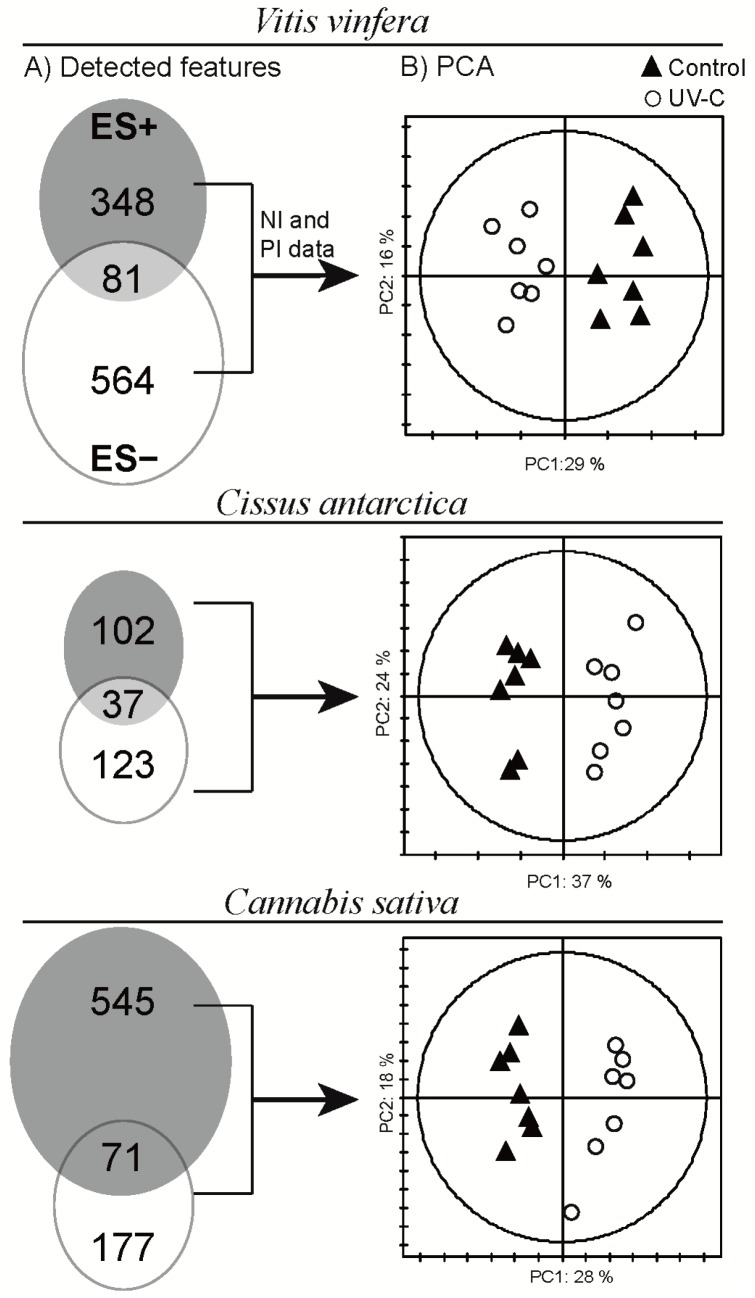 (A) Venn diagram showing the distribution of detected features in PI (grey circle) and NI (white circle) ESI UHPLC-TOFMS modes. The intercept shows the number of features detected in both modes; (B) Principal component analysis of concatenated PI and NI datasets scaled in unit variance.