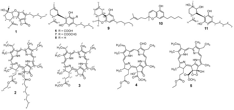 The structure of isolated compounds.