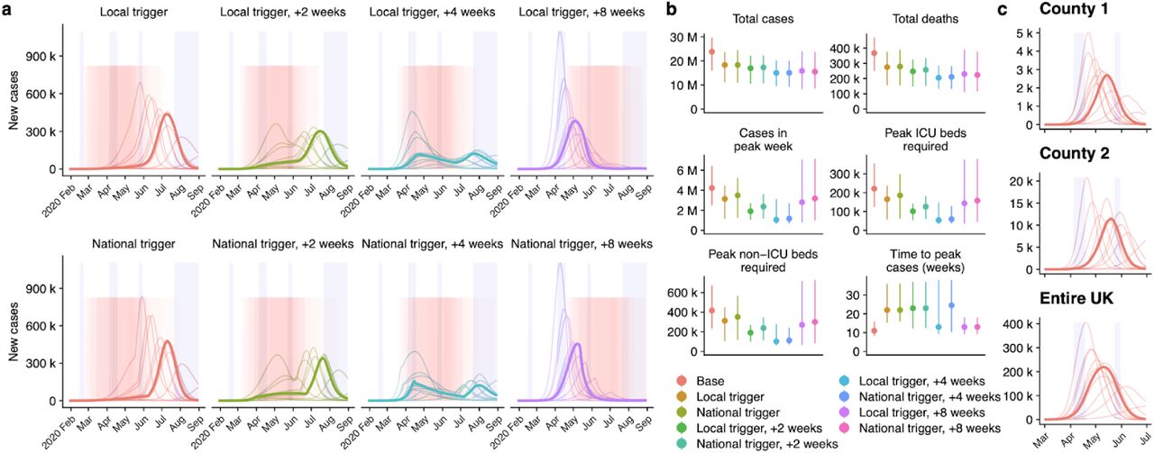 Local versus national triggering and timing of interventions.(a) Dynamics of the epidemic under local versus national triggers for introduction of interventions (pink shaded regions). Blue shaded regions show regular school closures, while the pink shaded region shows the intervention period. Bolded lines show daily incidence of cases in the median simulation under each scenario. (b) Summary of simulated outputs, in total number of clinical cases, deaths, clinical cases in peak week, peak ICU beds required, peak non-ICU beds required, and the time from seeding until peak of the epidemic (c) Illustration of peak timings of new cases varying across two counties in the UK, in comparison with predicted national trends, for a single simulation with no control interventions. Case incidence at a local scale is expected to rise and fall more rapidly than case incidence across the country as a whole.
