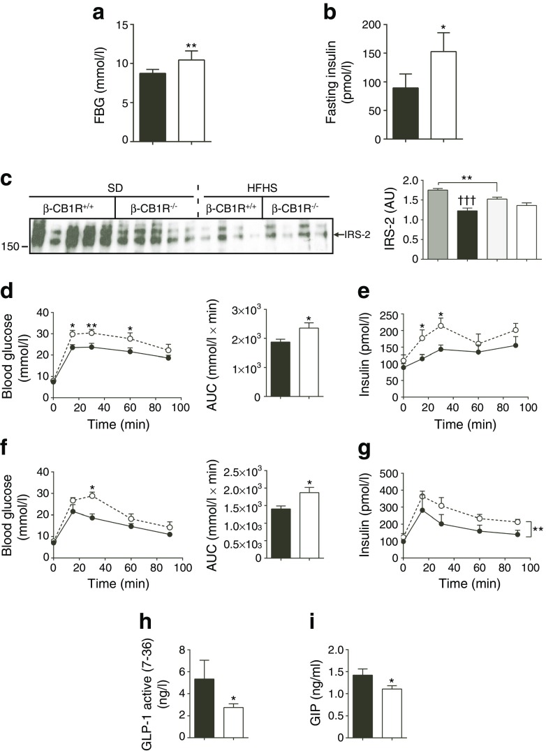 β-CB1R−/− mice become more insulin resistant than β-CB1R+/+ mice when placed on an HFHS diet. (a) FBG and (b) fasting plasma insulin levels. (c) Western blot analysis of IRS-2 immunoprecipitated from liver extracts and graph of band density analysed by ImageJ. (d, e) IPGTT and (f, g) OGTT (1.5 g/kg glucose) (d, f blood glucose over time and AUC; e, g plasma insulin over time). Stimulated (h) GLP-1 and (i) GIP levels in plasma upon oral glucose–lipid challenge (20 min). n = 7 mice. Dark grey bar, SD-β-CB1R+/+; black circles/bars, HFHS-β-CB1R+/+; light grey bar, SD-β-CB1R−/−; white circles/bars, HFHS-β-CB1R−/− . Data are means ± SEM. Significance by ANOVA or t test, *p ≤ 0.05, **p ≤ 0.01 vs β-CB1R+/+; †††p ≤ 0.001 vs standard diet. See also ESM Fig. 5