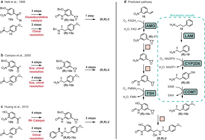 Previously published and newly proposed syntheses of arformoterol.a–c Overview of published syntheses of arformoterol. d Proposed hybrid synthesis plan. Enzyme names were assigned to steps based on the most structurally similar precedent reaction for reference. Arformoterol does not appear in the training set of the model. AMO alkene monooxygenase, F5H ferulate 5-hydroxylase, LAM lysine 5,6-aminomutase, CYP2D6 Cytochrome P450 2D6, COMT catechol O-methyltransferase.