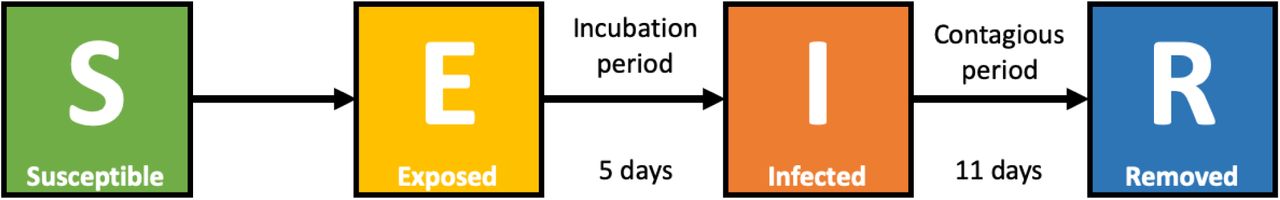 Diagram of the age-structured SEIR model.