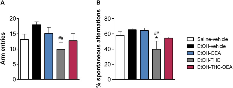 Y-maze test showing the number of arm entries (A) and percentage of spontaneous alternations (B). Bars represent the mean ± SEM (n = 8/group). Tukey: ∗p < 0.05 vs. saline-vehicle and ##p < 0.01 vs. EtOH-vehicle.