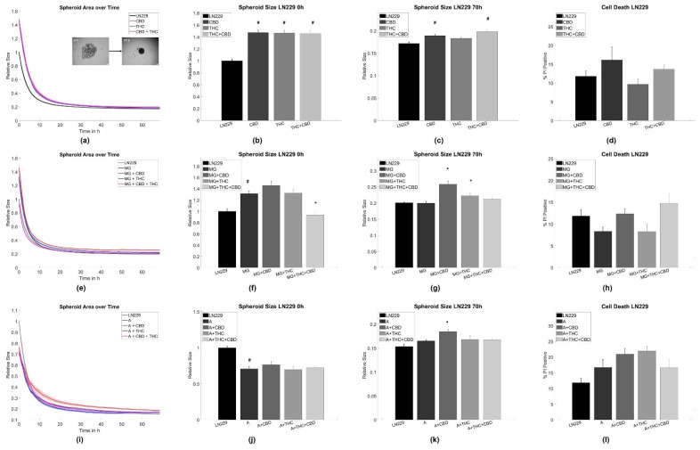 Aggregation results for LN229 GBM cells. (a–c) Average time evolutions of spheroid sizes for LN229 cells treated with cannabinoids. The inlet depicts a typical spheroid aggregation. (d,h,l) Ratio of cell death in LN229 spheroids treated with cannabinoids. (e–g) Time evolution of tumor-microglia (MG) spheroid sizes and cell death for co-cultures with and without cannabinoid treatment. (i–k) Time evolution of tumor-astrocytes (A) spheroid sizes and cell death for co-cultures with and without cannabinoid treatment. Relative size: Values are normalized to the respective untreated control cell line at time point 0 h referring to the start of the measurement. Stars (*) depict significant results against the spheroids mixed with astrocytes or microglia, respectively. Hashes (#) depict significant results against the untreated control. Error bars and shaded areas depict the standard error of the mean. Abbreviations: CTL: control, CBD: cannabidiol, THC: tetrahydrocannabinol, A: astrocytes, MG: microglia.