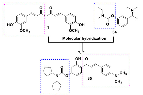 Design strategy for chalcone-rivastigmine hybrid 35 with remarkable potential multifunctional properties against AD.