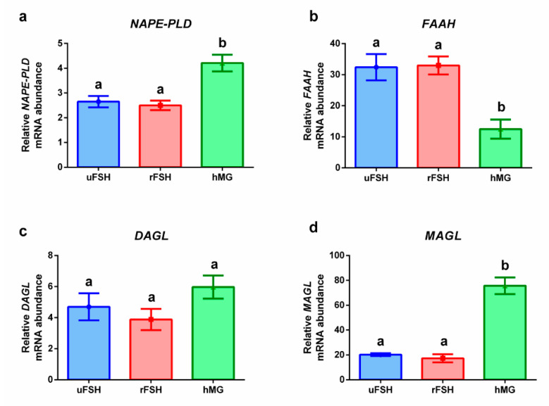 Gene expression profiles: (a) NAPE-PLD: N-acyl phosphatidylethanolamine phospholipase D; (b) FAAH: fatty acid amide hydrolase; (c) DAGL: diacylglycerol lipase alpha/beta; (d) MAGL: monoglyceride lypase. Results are reported as mean ± standard deviation. Statistical significance was set at p < 0.05 and calculated by One Way ANOVA followed by Tukey’s multiple comparisons test. Different letters above columns indicate statistical differences among groups.