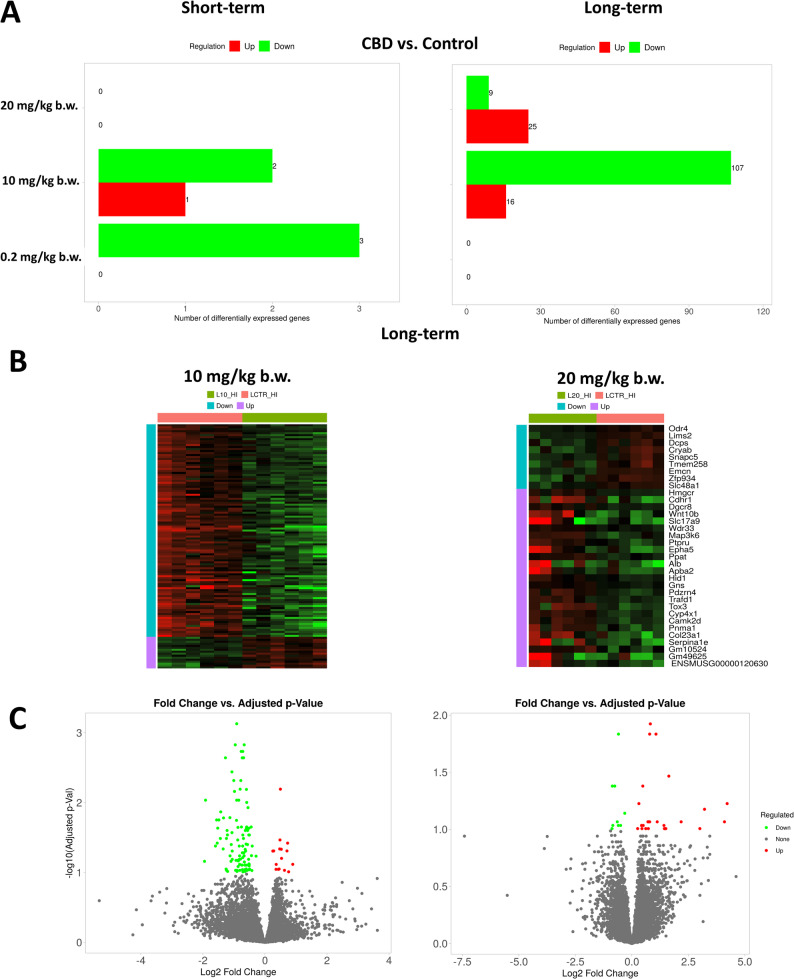 Results of differential expression analysis in the hippocampus between CBD-treated and control mice. A - amount of differentially expressed genes for each treatment versus control; B - heatmap for differentially expressed genes in long-term treatment (only doses of 10 and 20 mg/kg b.w. CBD); C - Volcano plot for differences in gene expression in mouse hippocampus between treated and control mice (10 and 20 mg/kg b.w. CBD)
