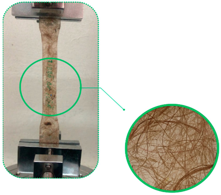 Sauter testing machine with bio composite test specimen.