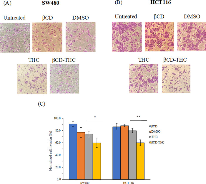 Comparison of invasion properties of (A) SW480 and (B) HCT116 cells upon treatment with THC, βCD, βCD-THC inclusion complex and DMSO solvent controls for 24 h. Images were captured at 200x total magnification after being stained with crystal violet on the bottom membrane of the Matrigel transwell invasion insert. (C) The relative percentages of invaded cells per field are expressed in mean ± standard deviation from three independent replicates, denoted with a *p < 0.05 and **p < 0.01 for the significant differences between THC and βCD-THC inclusion complex.