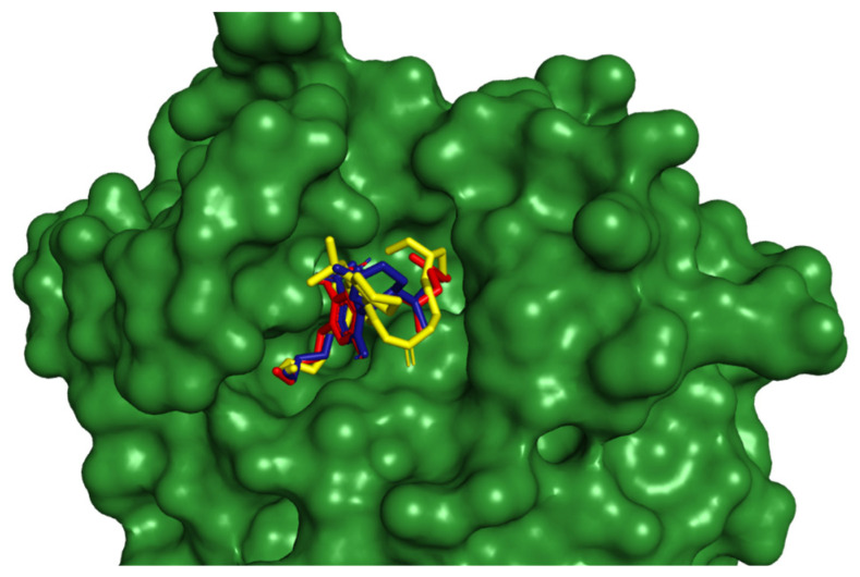 Cannabinoid superimposition with existing drug candidate.