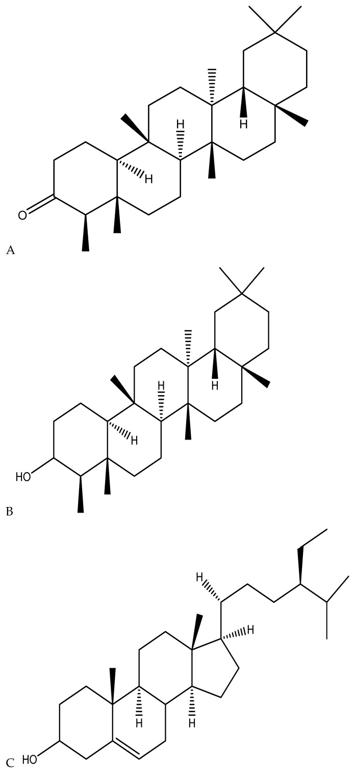 Chemical structure of (A) triterpenoids friedelin, (B) epifriedelanol, (C) sterols β-sitosterol, (D) stigmasterol, and (E) campesterol present in the Cannabis roots.