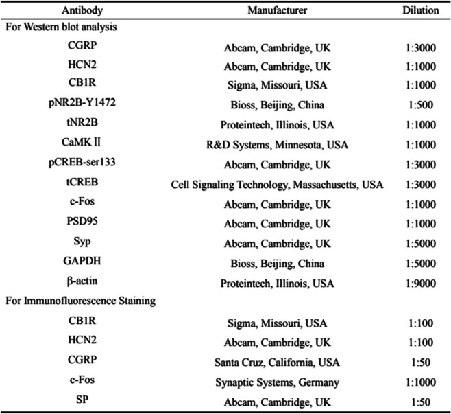 Antibodies used in Western blotting and immunofluorescence staining