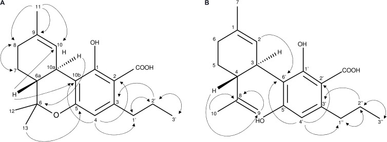 (A,B) Important 1H-1H-COSY and HMBC NMR correlations of compounds 1 (A) and 2 (B) describing the C3-alkyl side chain of 1 (A) and 2 (B) as well as the opened pyran ring of 2.