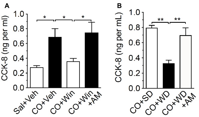 Exogenous or endogenous activation of peripheral CB1Rs inhibits fat-induced CCK release. Compared to control [0.5 ml saline (Sal) by oral gavage and vehicle (Veh) by IP injection], corn oil (CO; 0.5 ml by oral gavage) increased levels of CCK-8 in plasma of lean mice fed a low-fat no-sugar standard diet (SD), an effect blocked by the CB1R agonist, WIN 55,212-2 (WIN, IP 3 mg per kg 30 min before CO) (A). The effects of WIN were inhibited by co-administration with the peripherally-restricted CB1R antagonist, AM6545 (AM; 10 mg per kg 30 min before CO). When compared to control SD mice (CO + SD), CO failed to elicit changes in levels of CCK-8 in plasma in mice fed western diet (WD) for 60 days, and inhibition of peripheral CB1Rs with AM6545 normalized levels of CCK-8 to those found in SD CO controls (B). Data expressed as means ± S.E.M. Analyzed by one-way ANOVA with post hoc Newman-Keuls multiple comparison test. n = 3–5 per condition, * p < 0.05, ** p < 0.01.