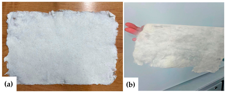 The cellulose material obtained from hemp fibers on a flat surface (a) and on the palm (b).
