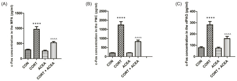 The effects of ACEA (0.3 mg/kg/day i.p., for 7 consecutive days) on c-Fos expressions in the neuronal voiding centers: (A) medial preoptic nucleus (MPA), (B) pontine micturition center (PMC), and (C) ventrolateral periaqueductal gray (vlPAG) after the induction of overactive bladder with corticosterone (CORT). Concentration of c-Fos in each group [pg/mL]: control group (CON), CORT group (CORT), ACEA only group (ACEA) and CORT group treated with ACEA (CORT + ACEA). Each experimental group consisted of 12 animals. Values are expressed as the mean ± S.E.M.**** or ^^^^ p < 0.0001. One-way ANOVA: for MPA: F(3.44) = 40, p < 0.0001; for PMC: F(3.44) = 53, p < 0.0001; for vlPAG: F(3.44) = 28, p < 0.0001.
