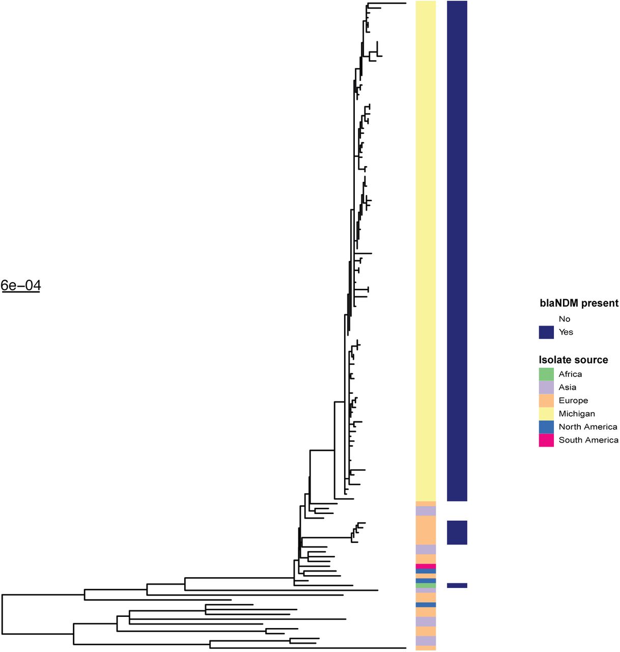 Whole-genome phylogeny including Michigan outbreak genomes and publicly available ST219 genomes.Midpoint rooted maximum likelihood tree of Michigan ST219 isolates and K. pneumoniae genomes downloaded from the PATRIC database that were within 200 SNVs of outbreak isolates.